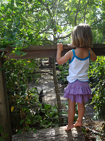 Elsa looking over the fence