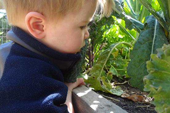 Charlie and Plants