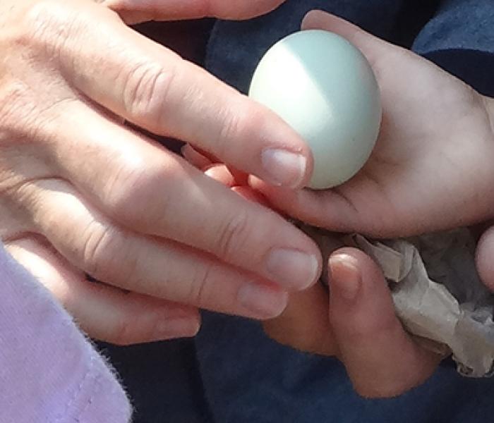 Child and Egg