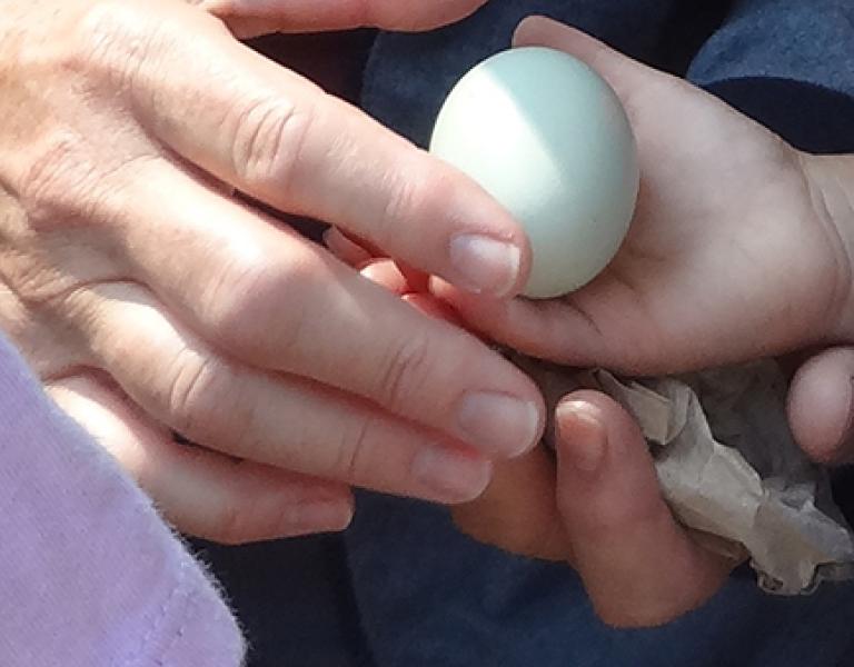 Child and Egg