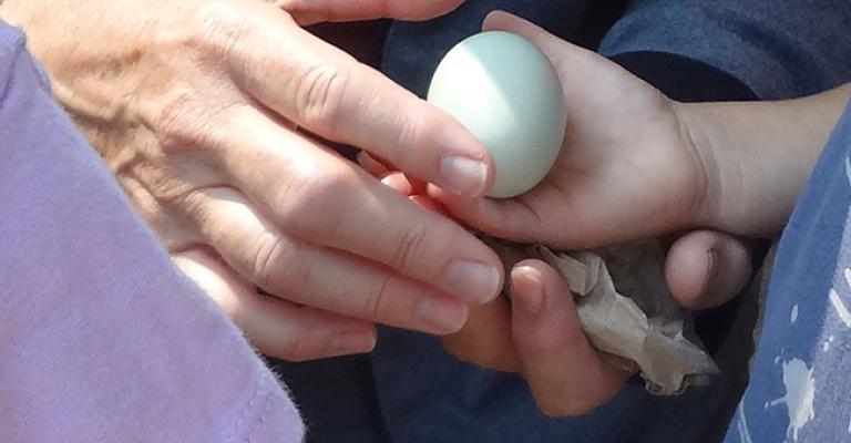 Child and Egg