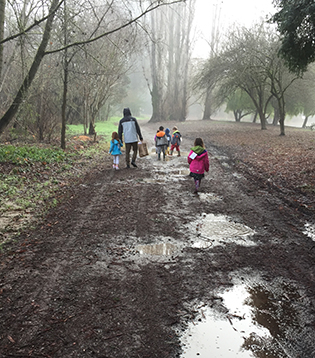 Muddy Walk